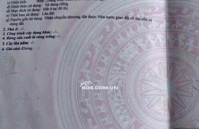 Bán lô đất Trần Quý Khoách - trục thông Hồ Tùng Mậu -DT 90m2